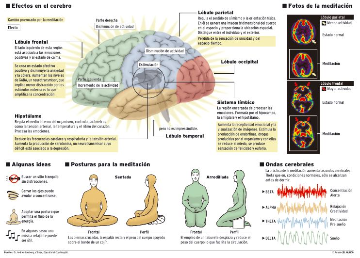 Estudios sobre la meditación Estudios sobre la meditación